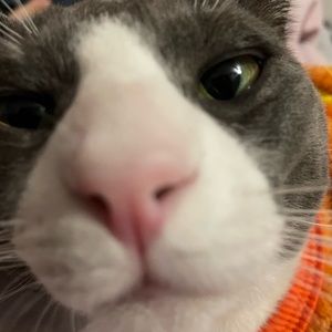 Meet your Posher, Denisse